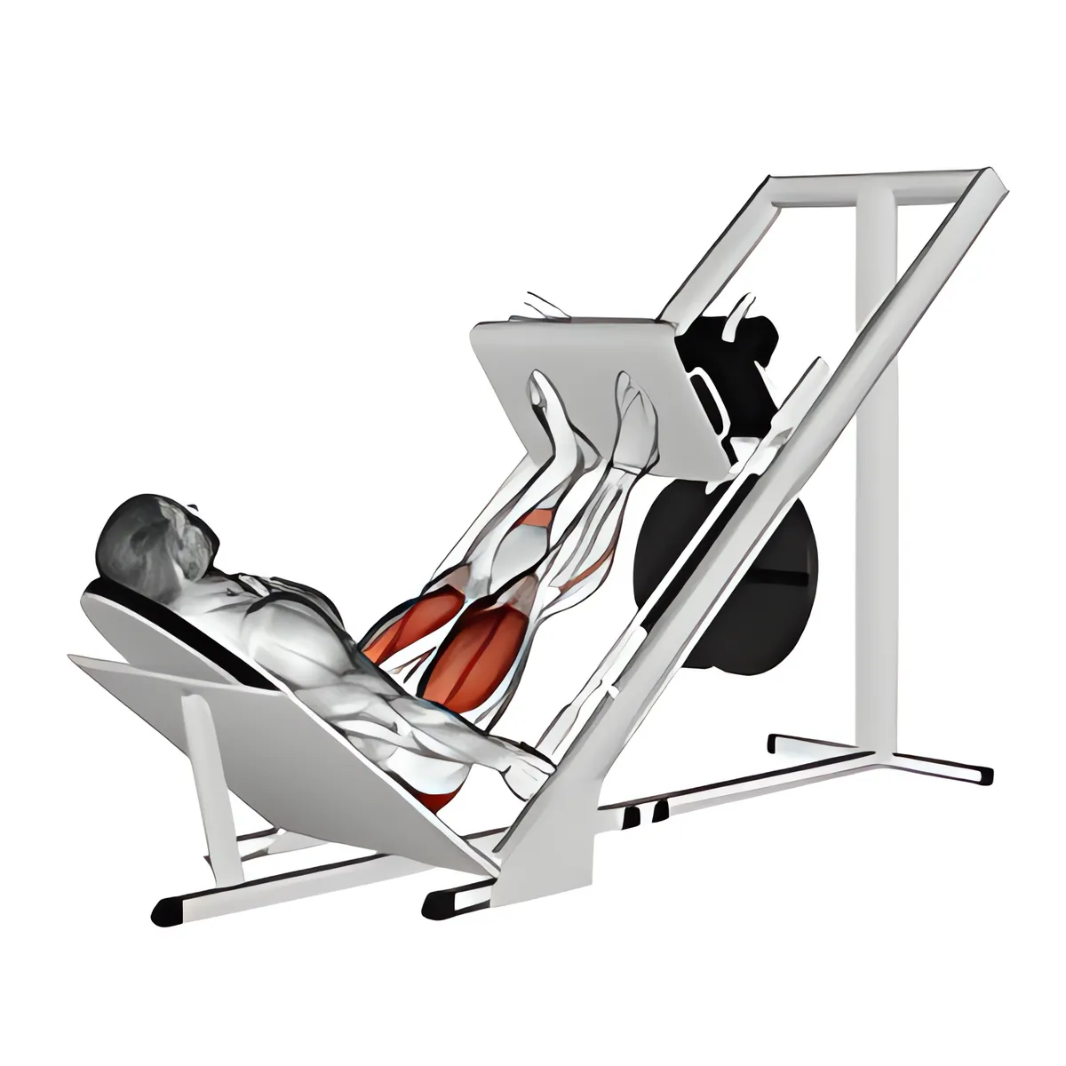 Đẩy chân trên máy trượt 45°