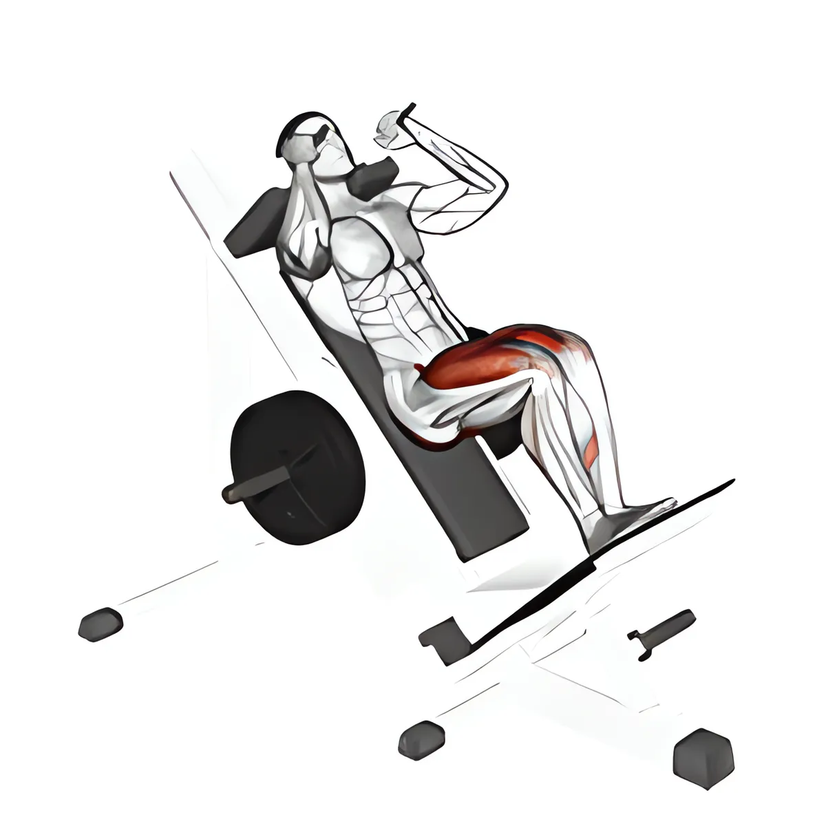 Máy trượt khép chân hack squat