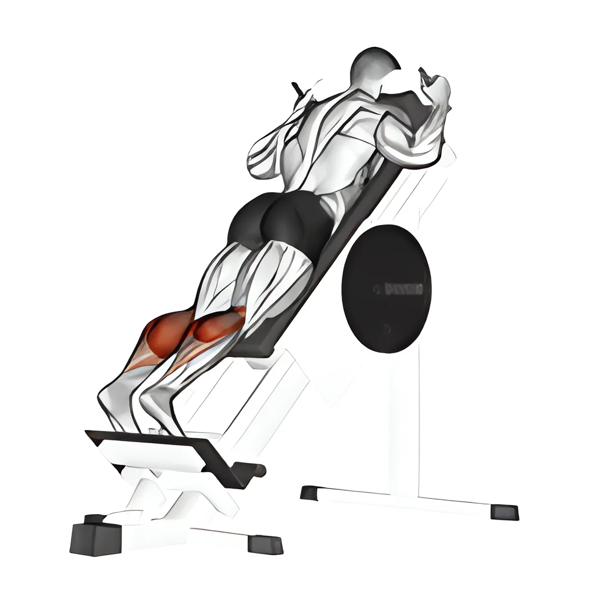 Máy trượt phía trước nghiêng nhón bắp chân