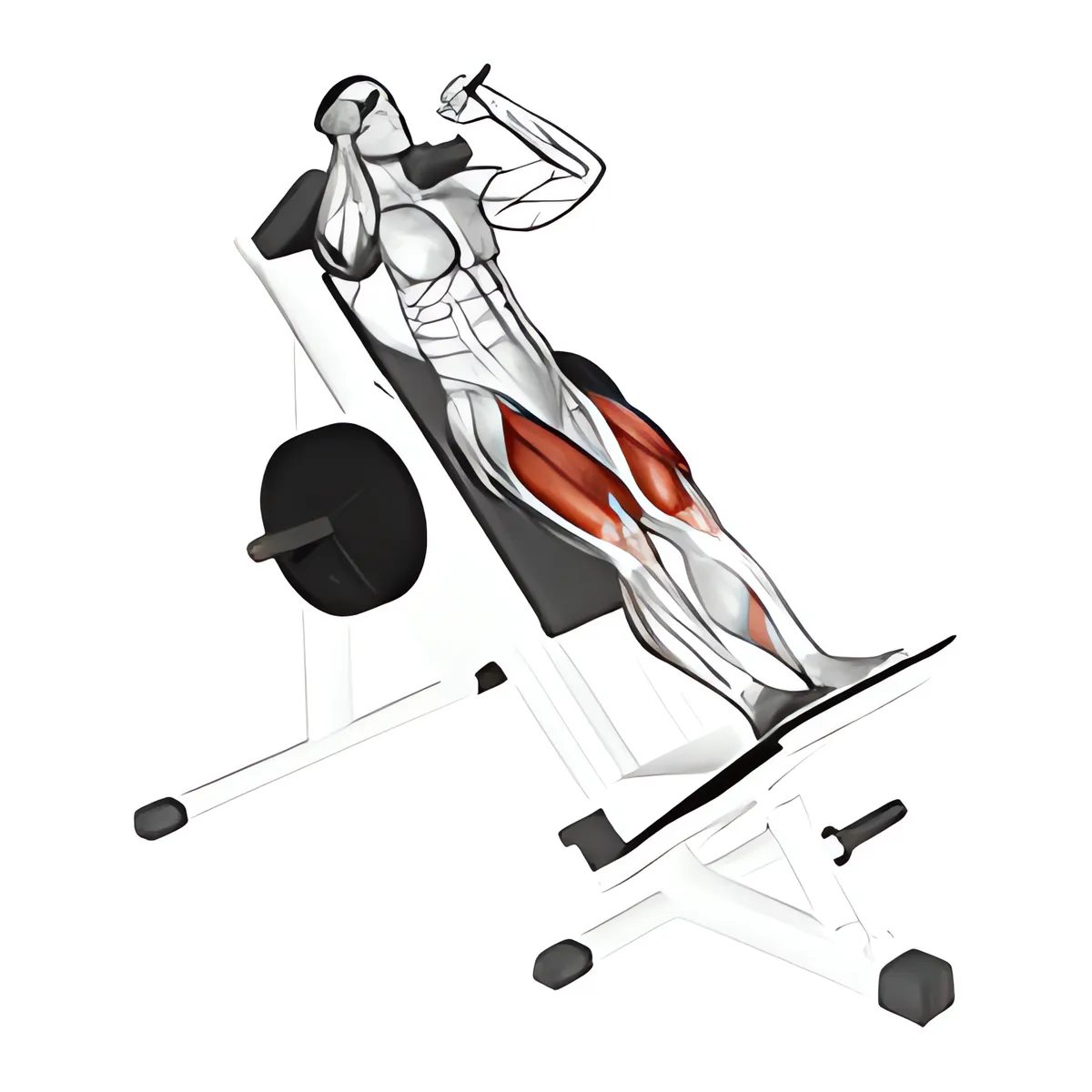 Máy trượt hack squat