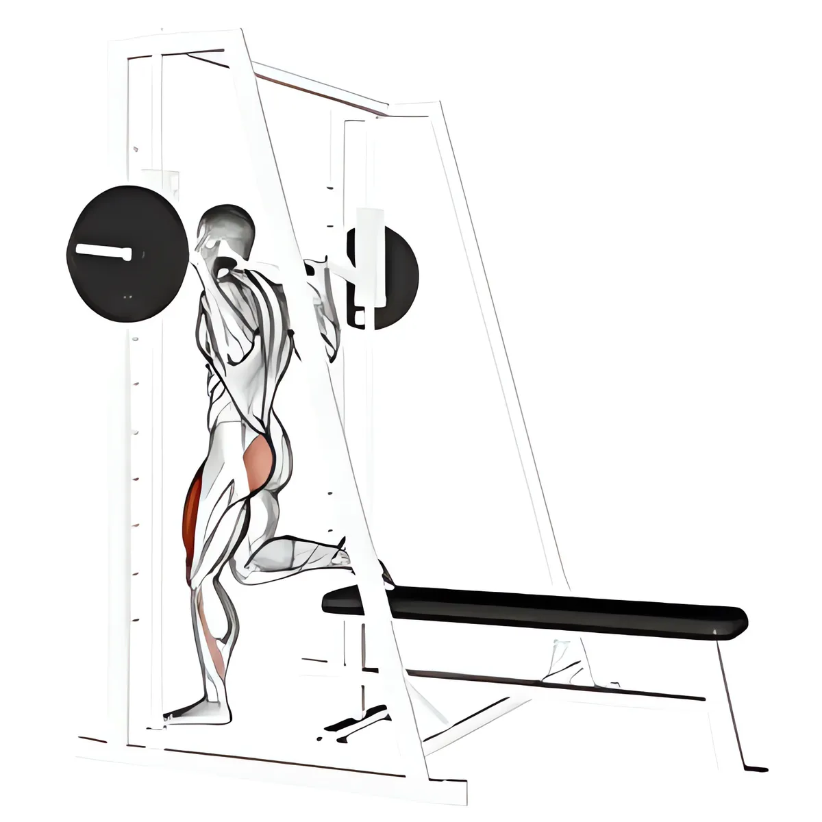 Máy Smith một chân squat tách chân