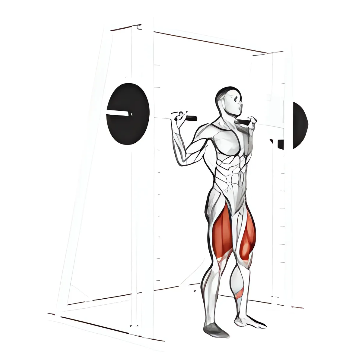 Máy Smith squat