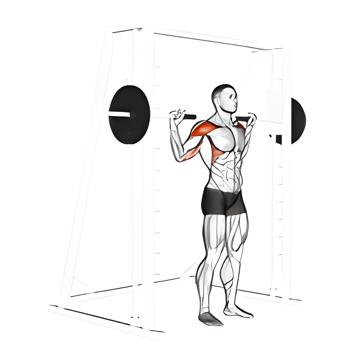 Máy Smith đứng phía sau đầu đẩy vai quân đội