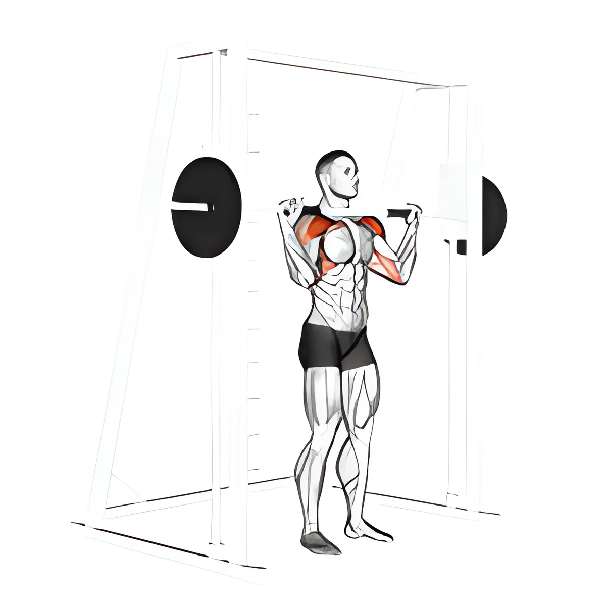 Máy Smith đứng đẩy vai quân đội
