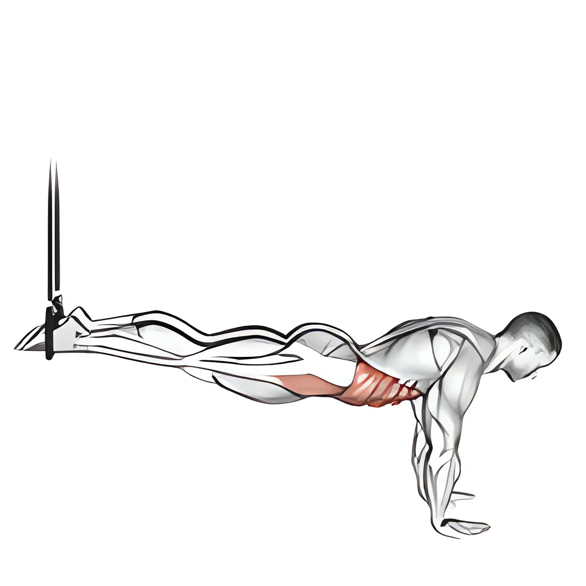 Dùng dây treo ngược gập bụng