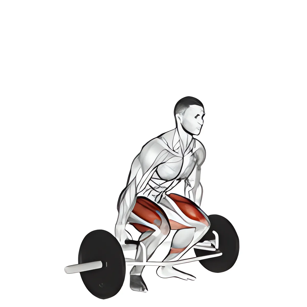 Deadlift với thanh tạ lục giác