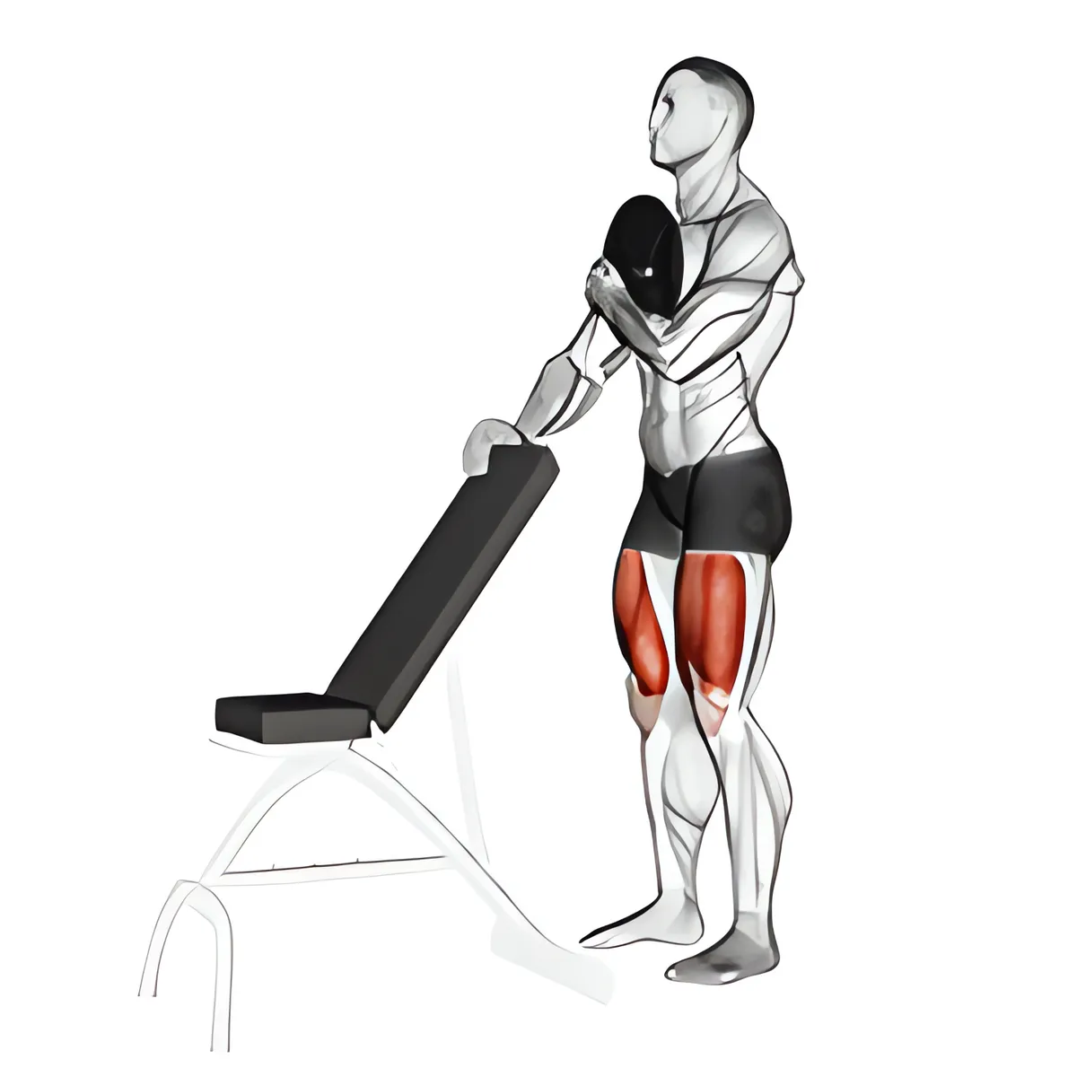 Sissy squat có tạ