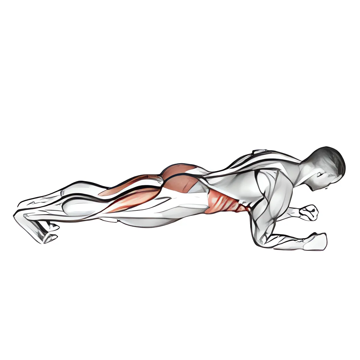 Plank nâng hông