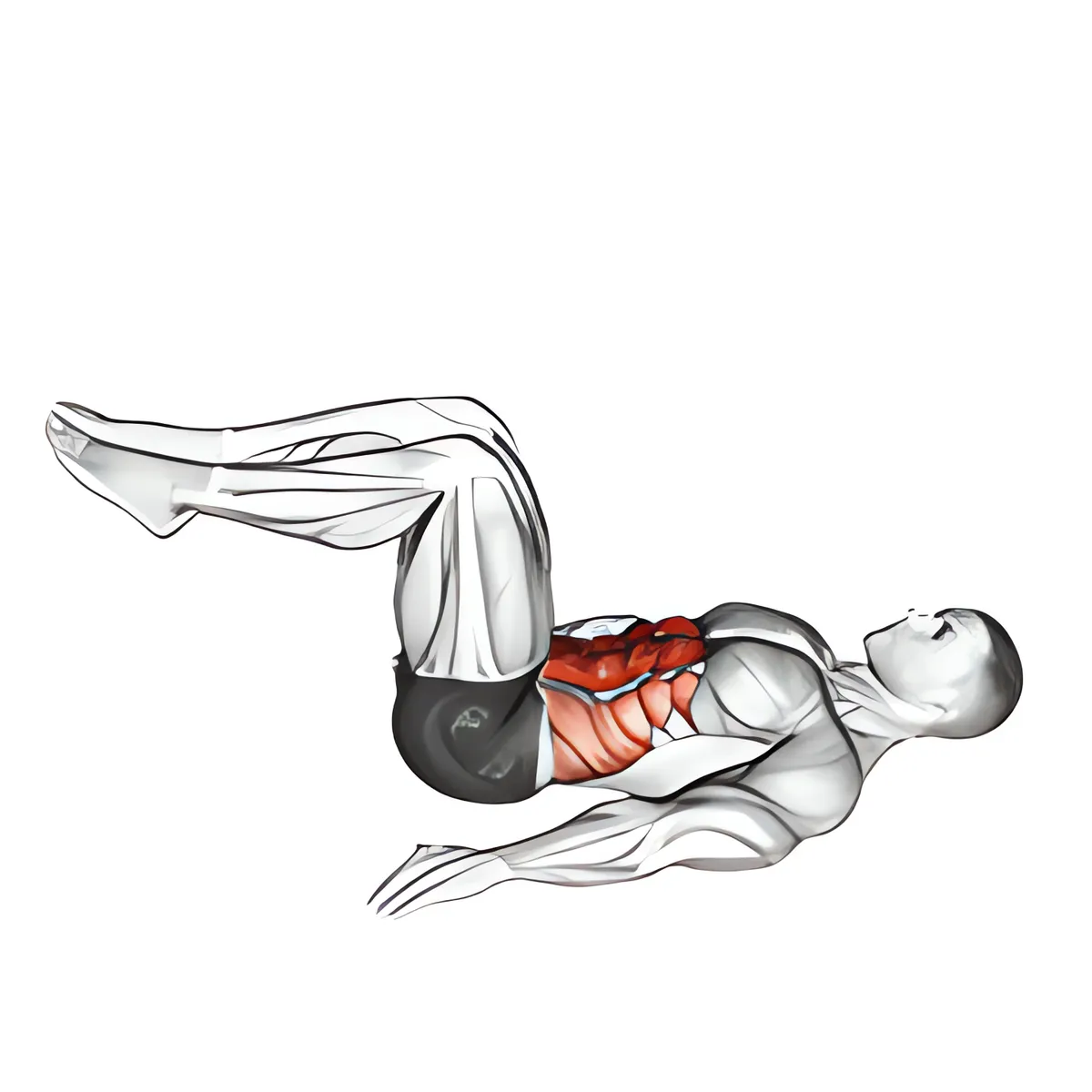Ngược gập bụng