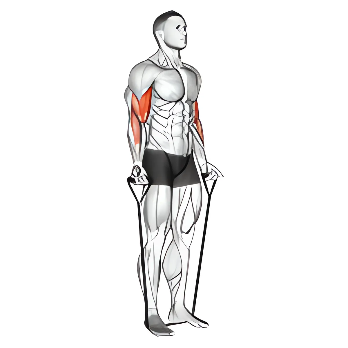 Dây kháng lực luân phiên cuốn tay trước