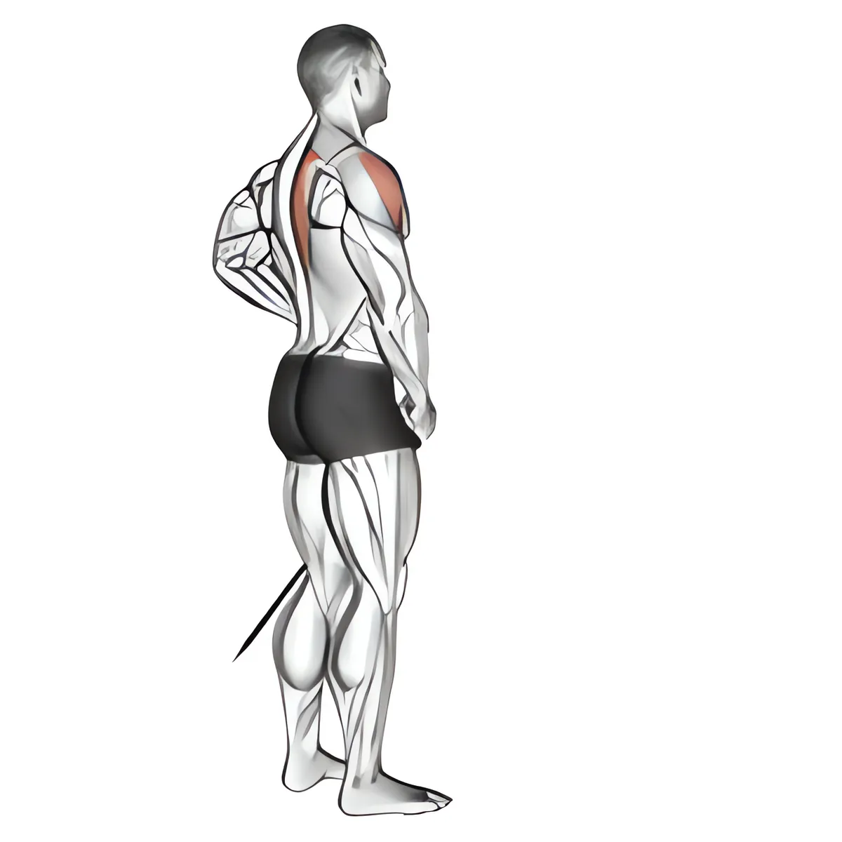 Dây kháng lực trước nâng vai ngang