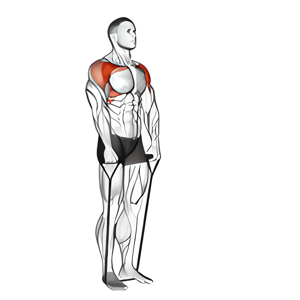 Dây kháng lực nâng vai trước