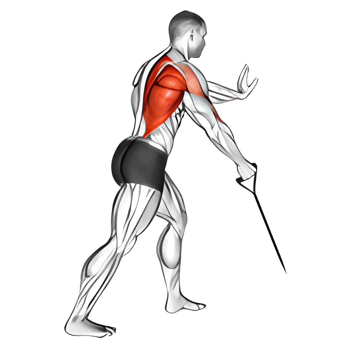 Dây kháng lực một tay đứng thấp kéo