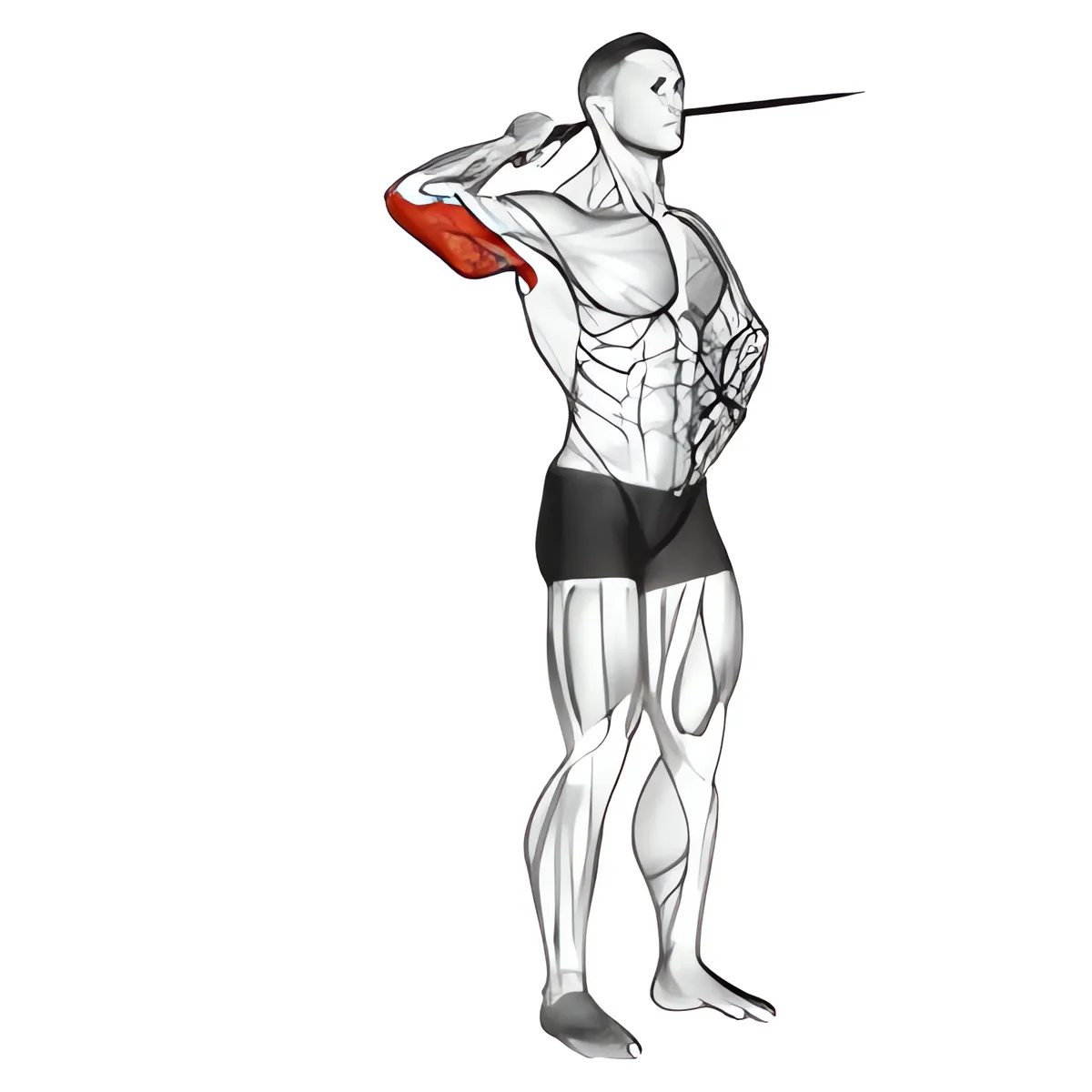 Dây kháng lực bên duỗi tay sau