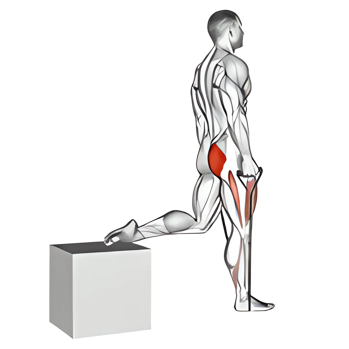 Dây kháng lực một chân squat tách chân