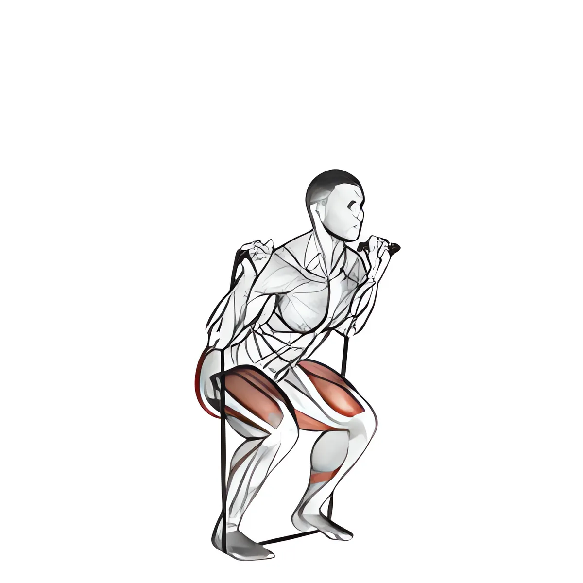 Dây kháng lực squat