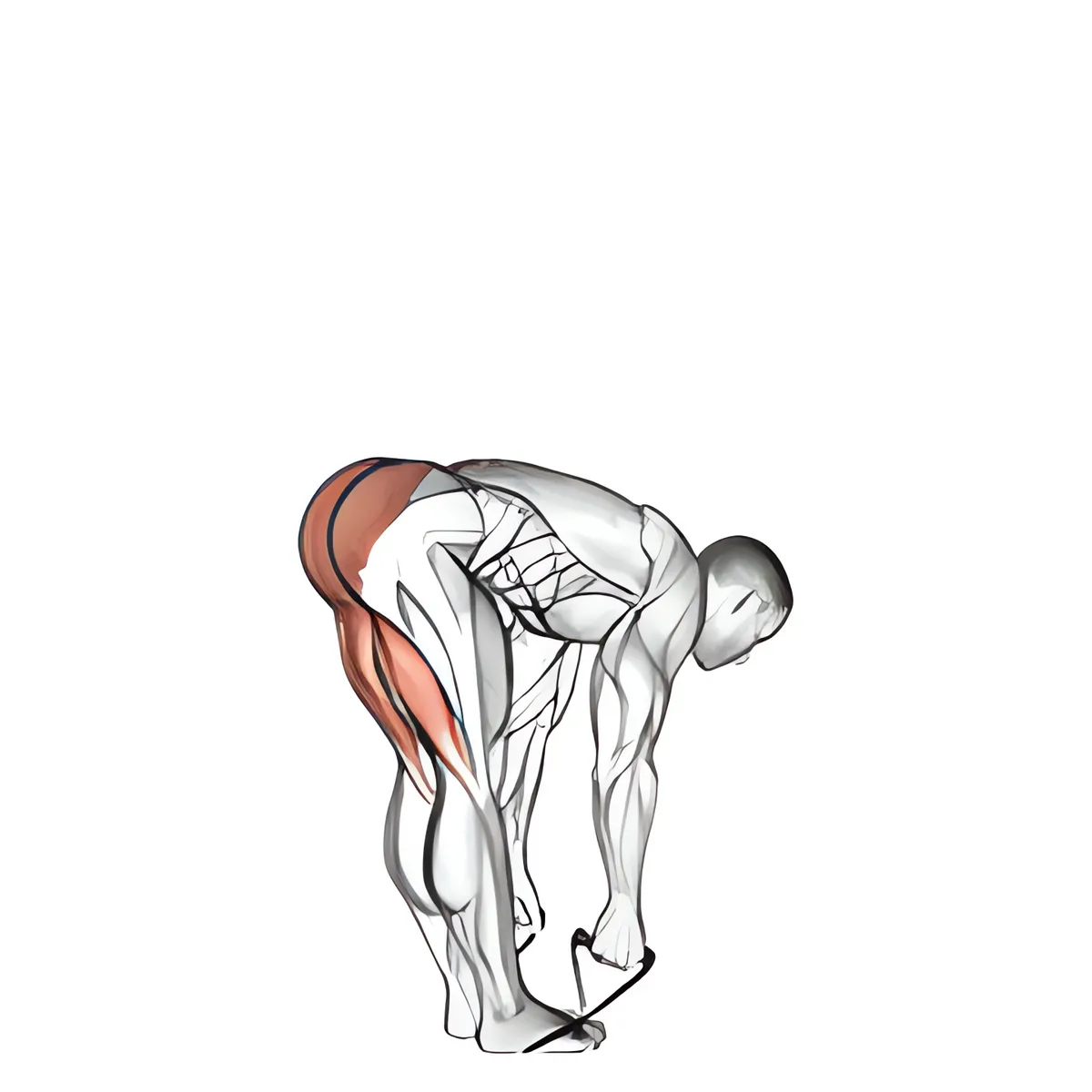 Dây kháng lực deadlift chân thẳng