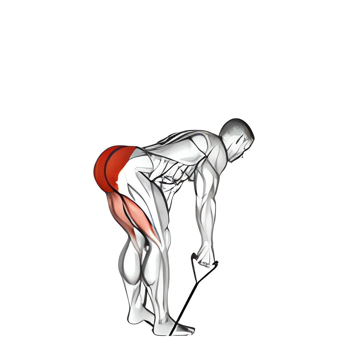 Dây kháng lực thẳng lưng deadlift chân cứng