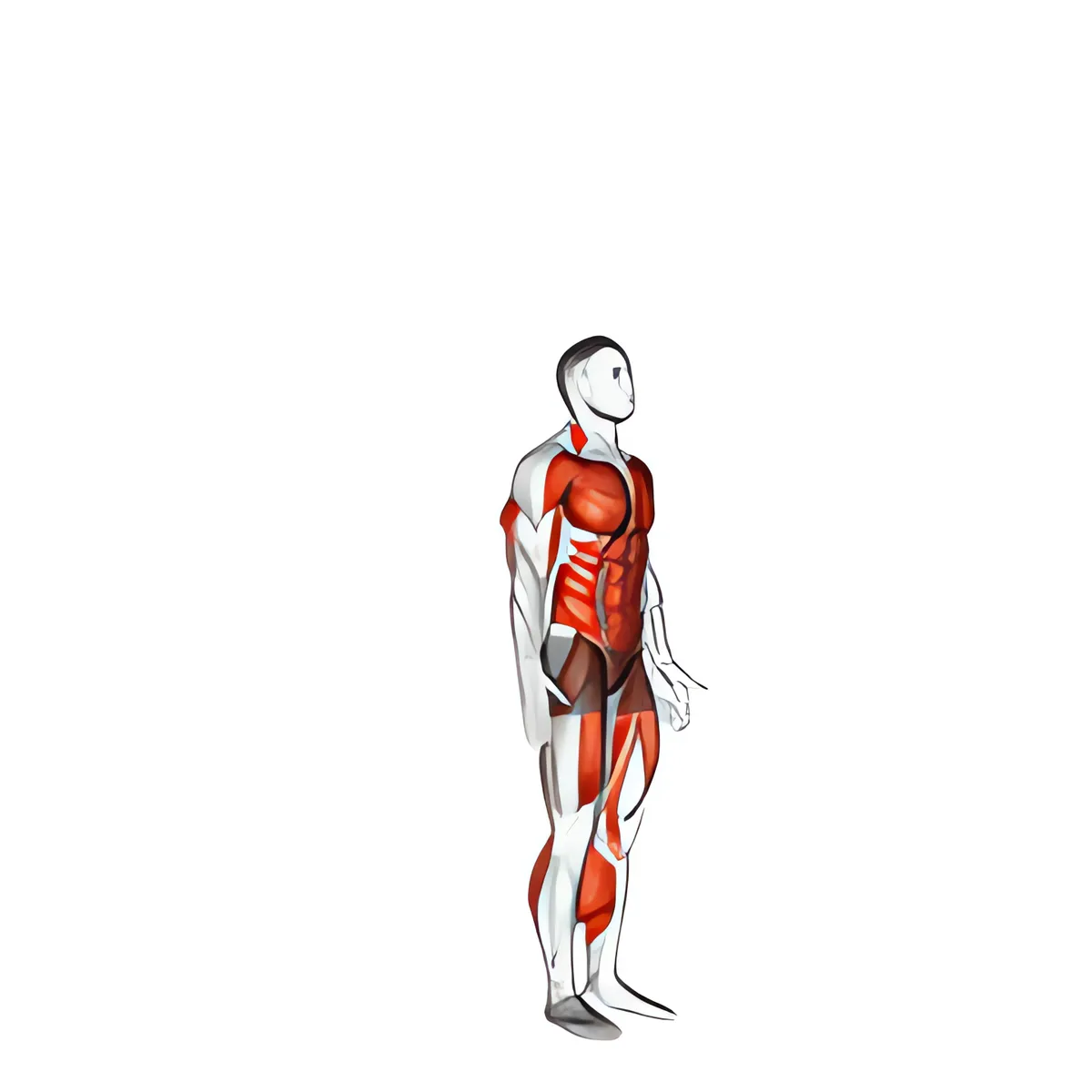 Burpee chống đẩy bật nhảy
