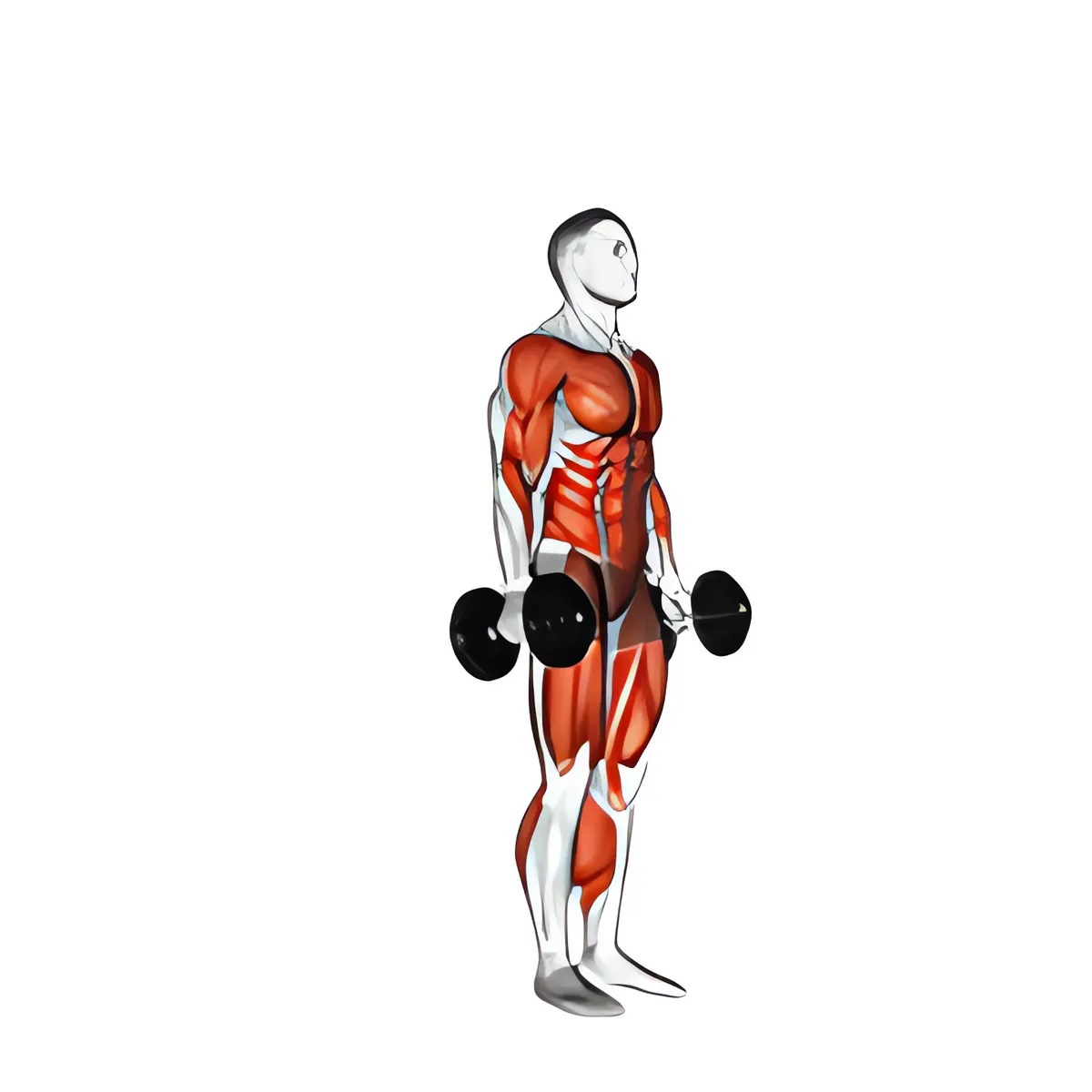 Burpee với tạ đơn