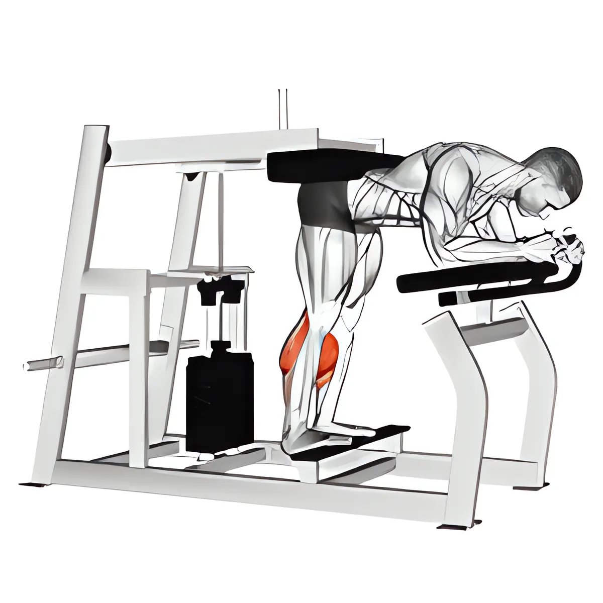 Máy kiểu lừa nhón bắp chân