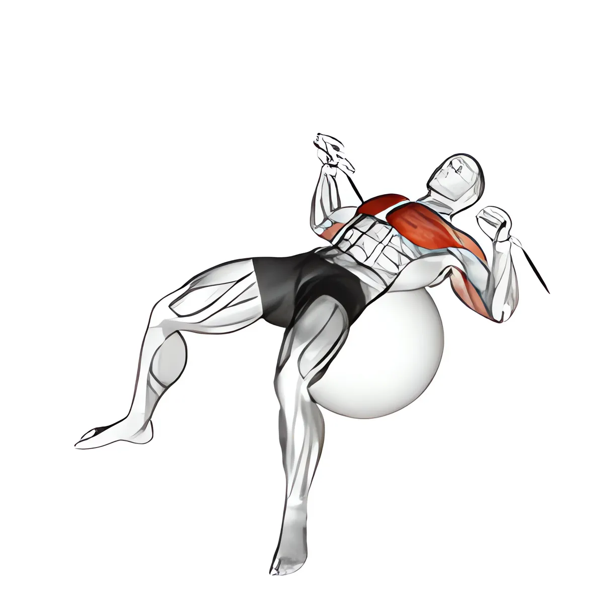 Cáp đẩy trên bóng tập