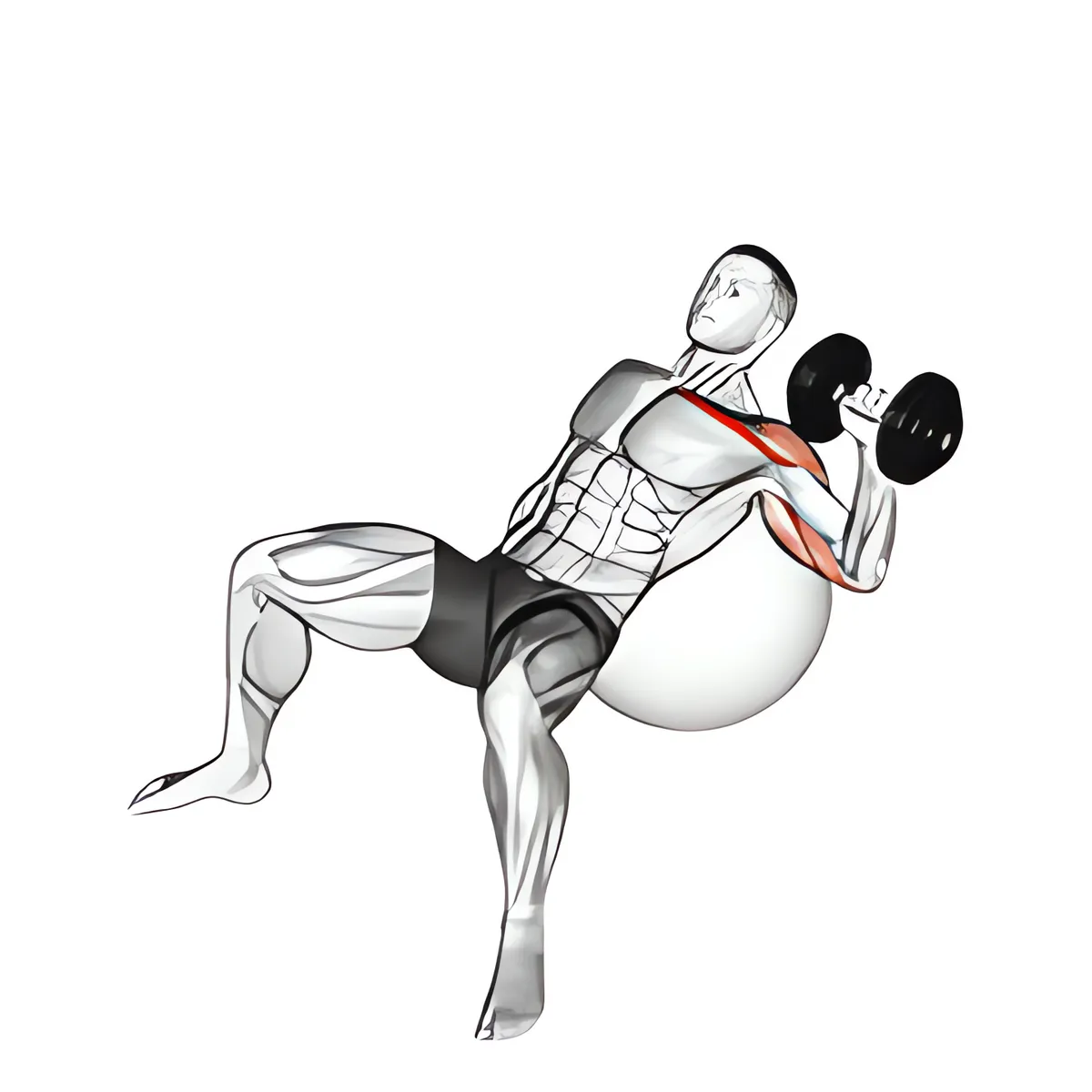Tạ đơn ghế dốc lên một tay đẩy trên bóng tập