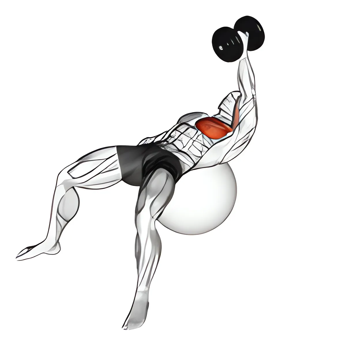 Tạ đơn một tay ép ngực trên bóng tập