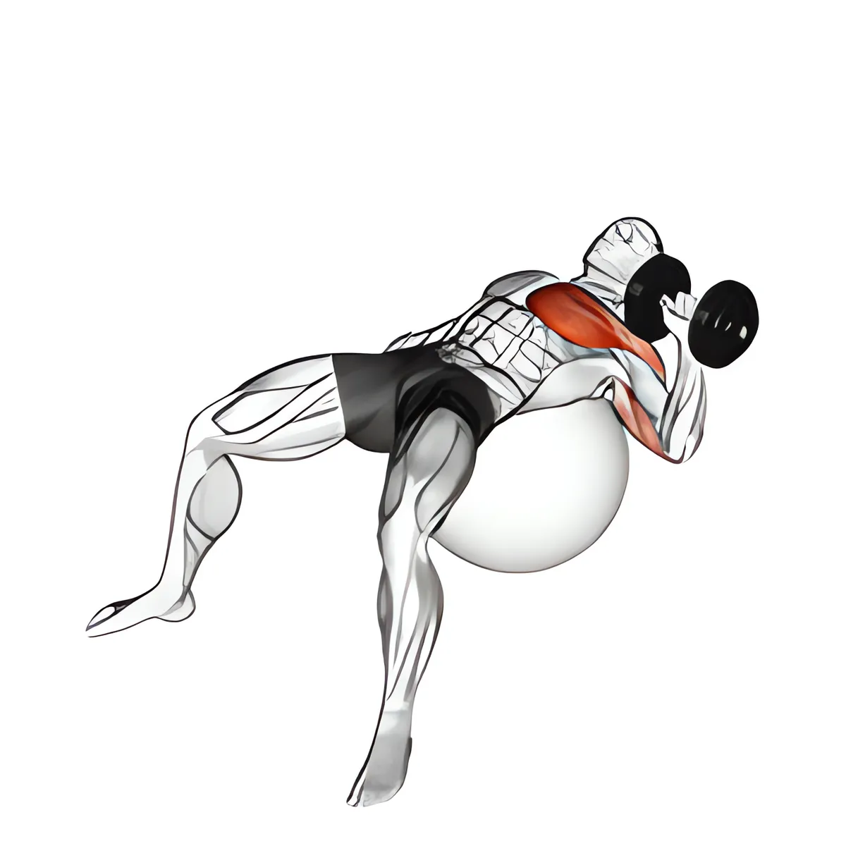 Tạ đơn một tay đẩy trên bóng tập