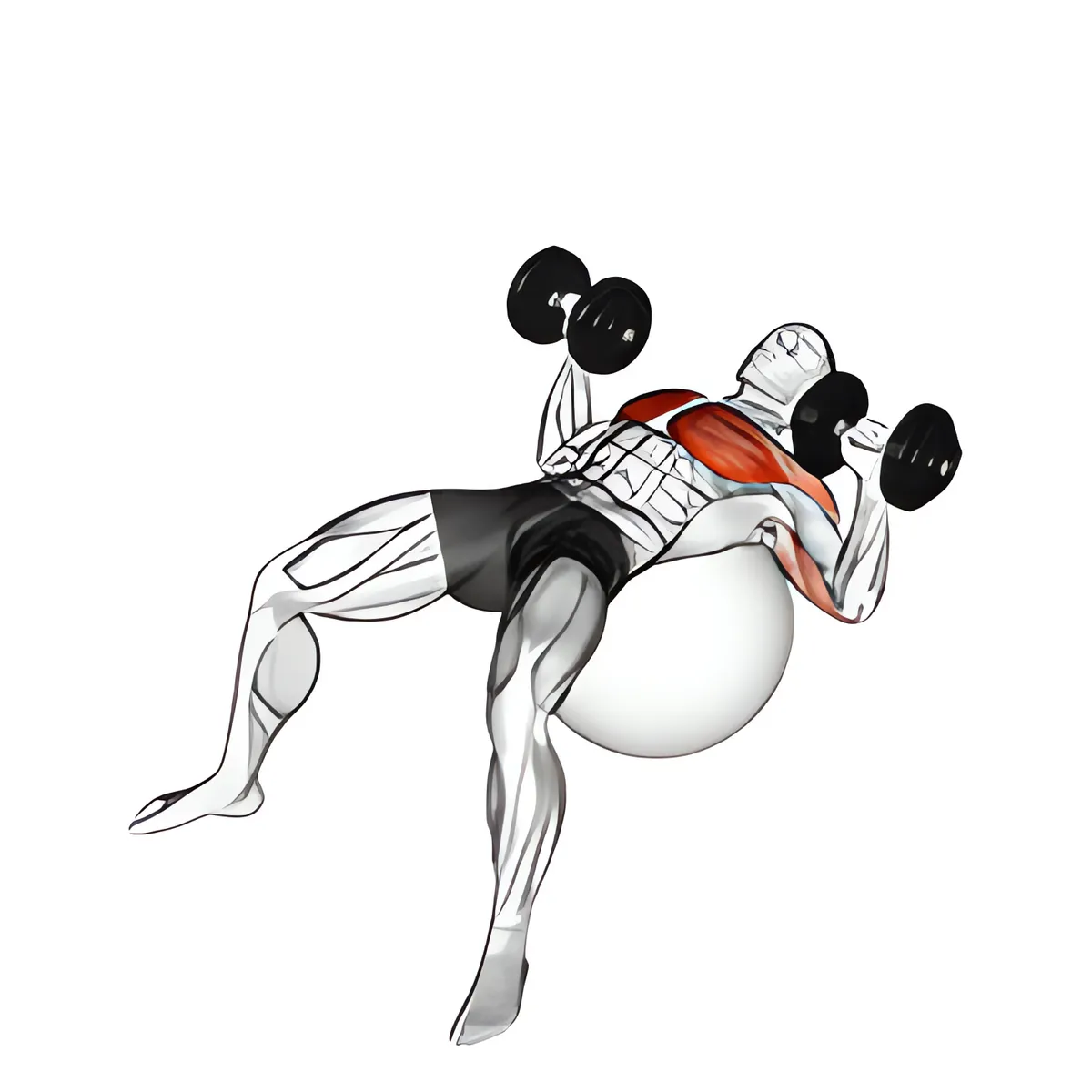 Tạ đơn đẩy trên bóng tập