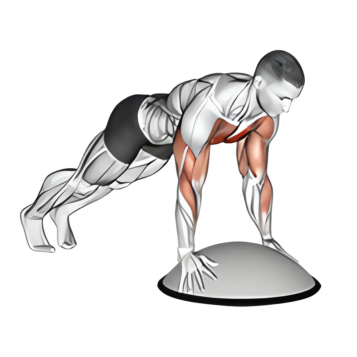Chống đẩy trên bóng Bosu