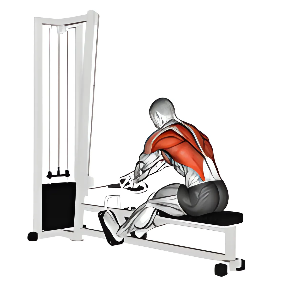 Cáp dây thừng chéo kéo ngồi