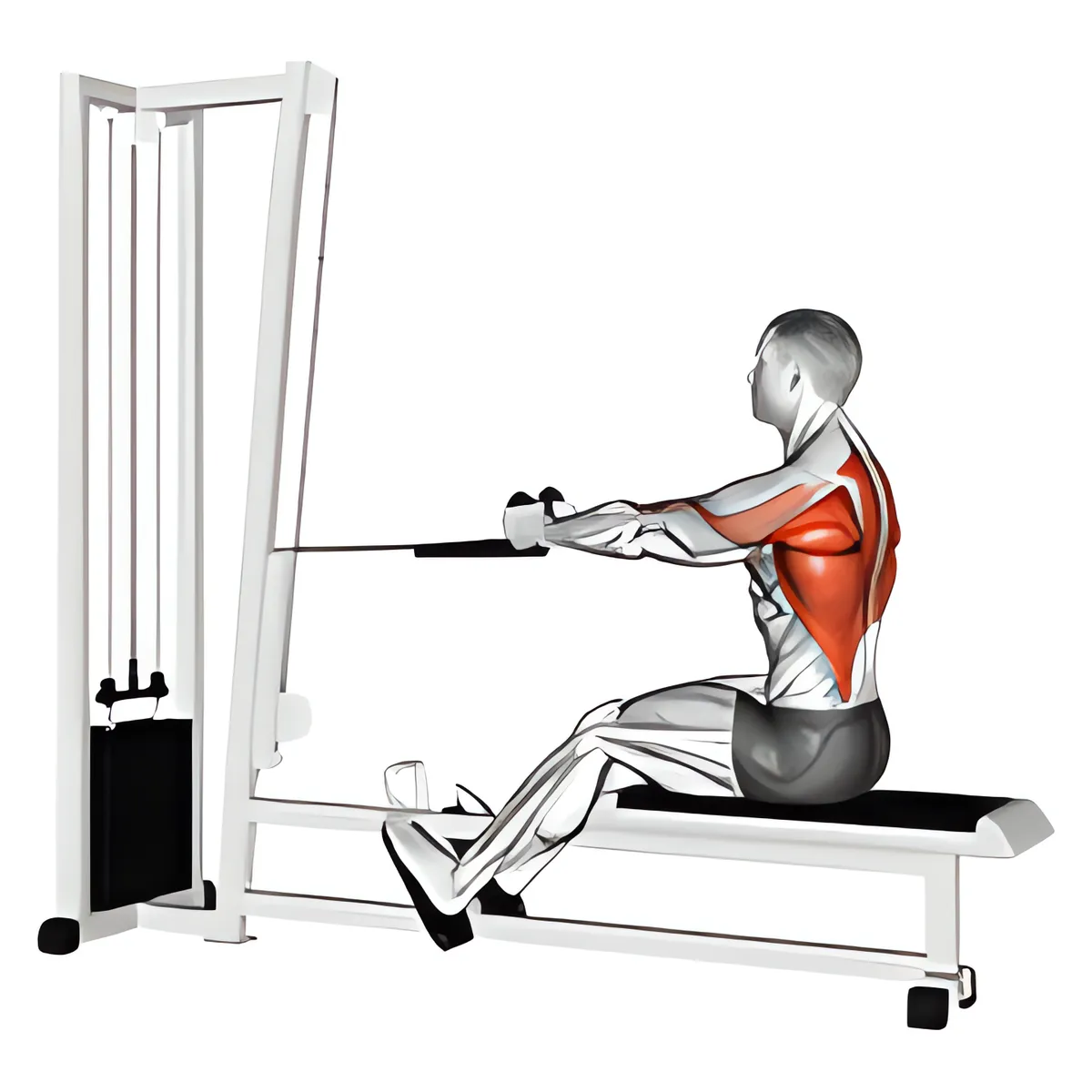 Cáp dây thừng kéo ngồi
