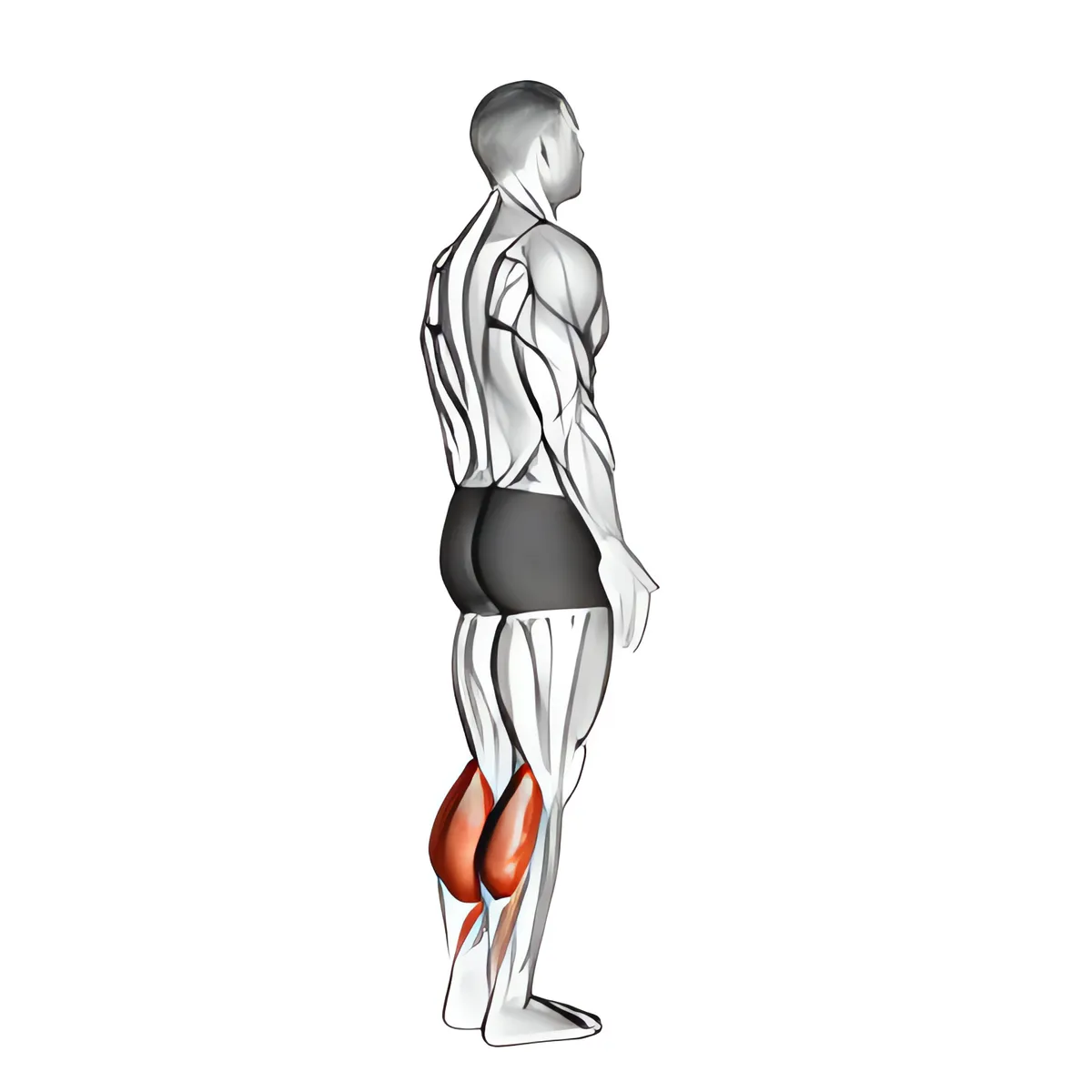 Trọng lượng cơ thể đứng nhón bắp chân