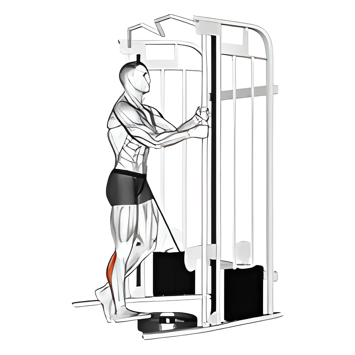 Cáp đứng một chân nhón bắp chân