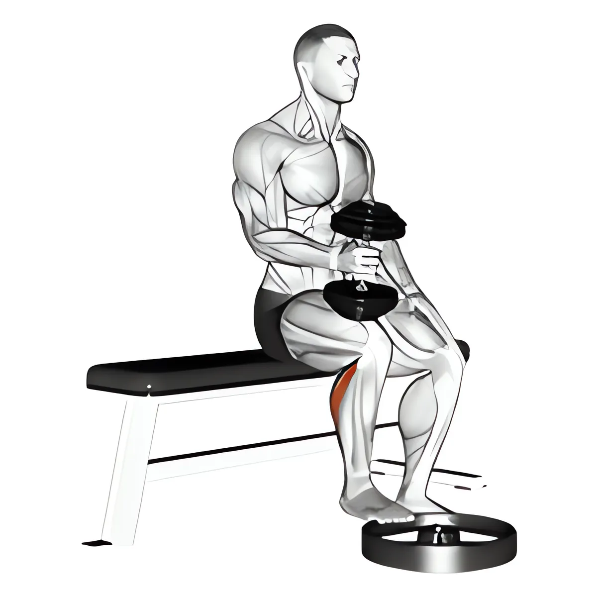 Ngồi nhón bắp chân một chân với tạ đơn, tay nắm trung lập
