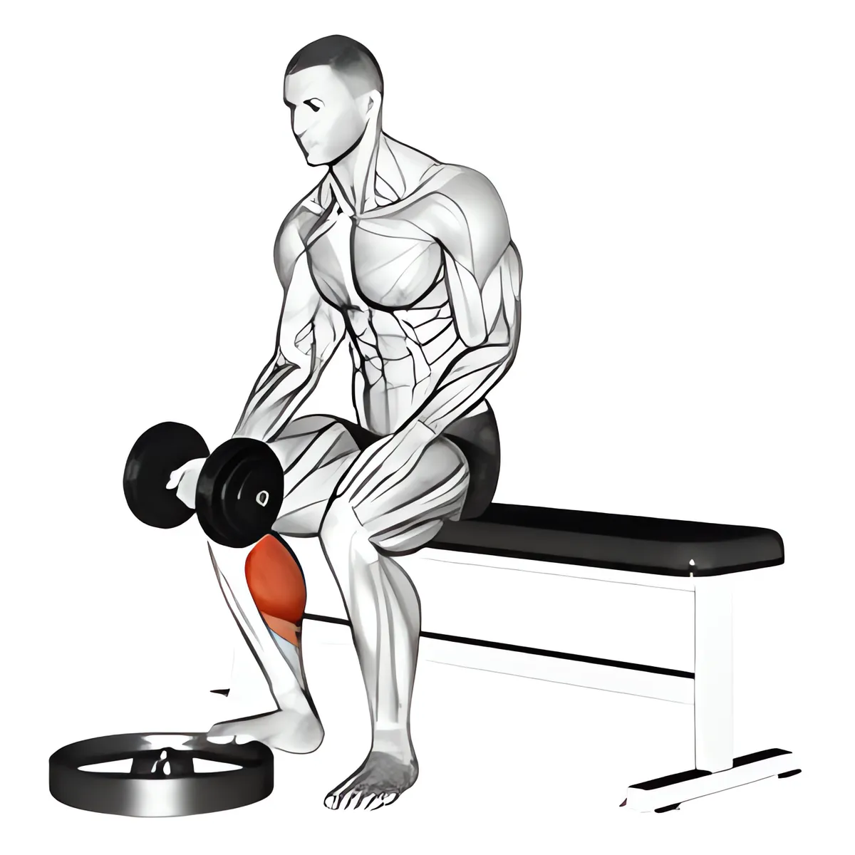 Tạ đơn ngồi một chân nhón bắp chân - lòng bàn tay hướng lên