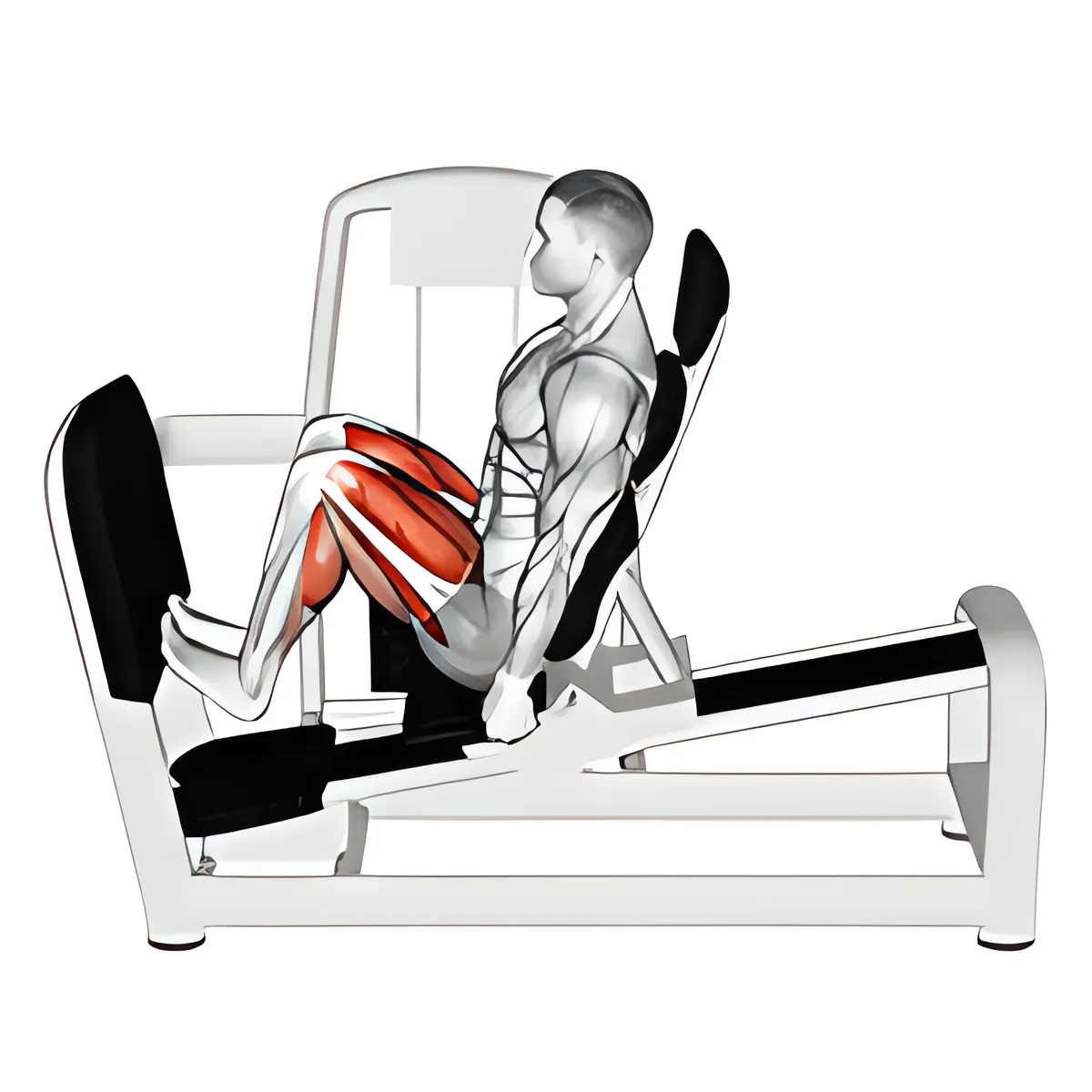 Máy ngồi squat nhón bắp chân trên chân đẩy máy