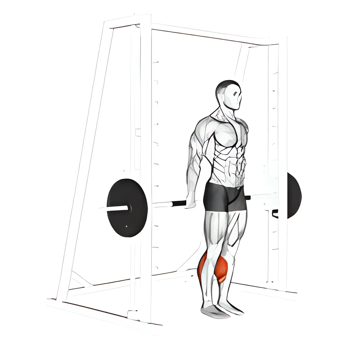 Nhón bắp chân ngược trên máy Smith, biến thể 2