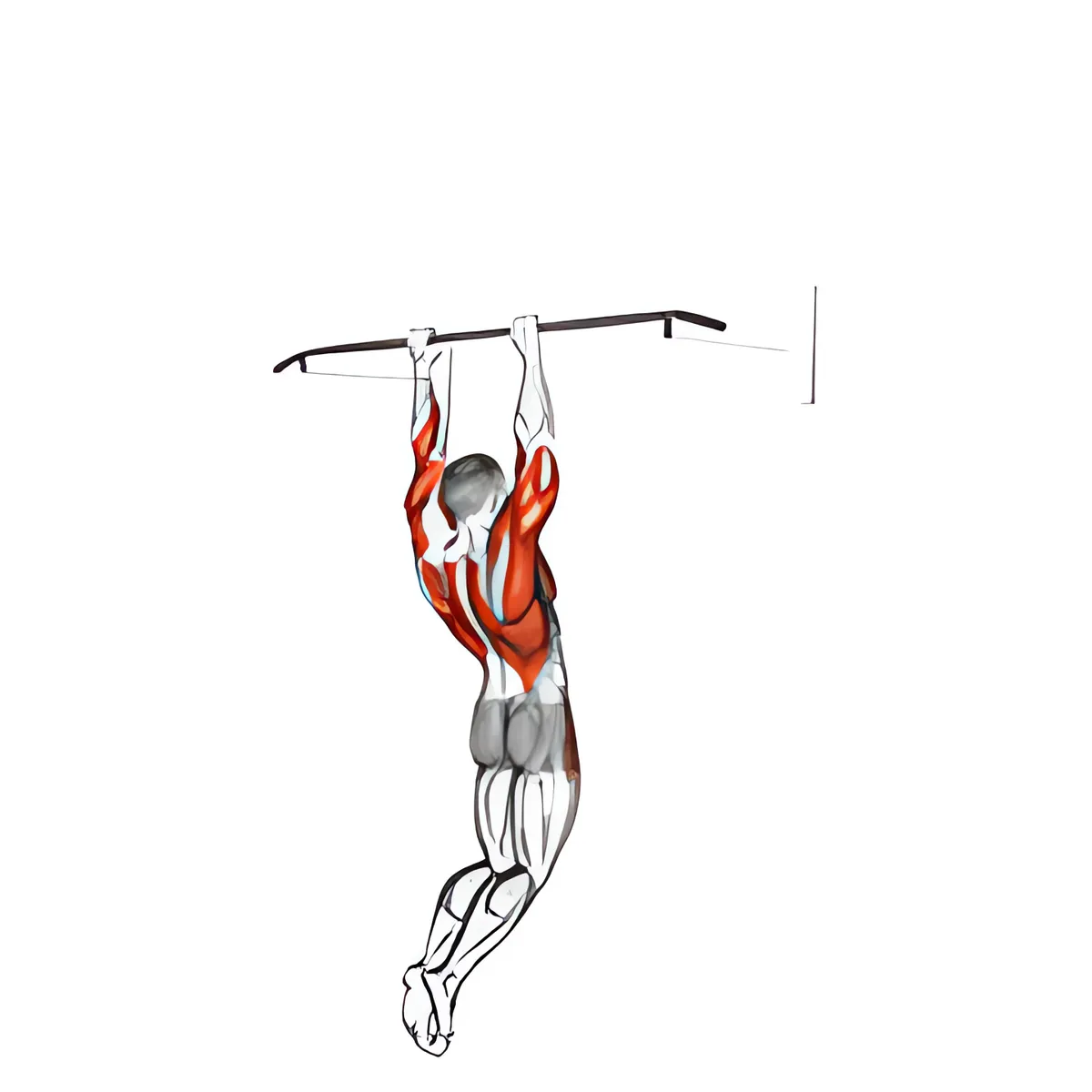 Muscle-up trên xà dọc