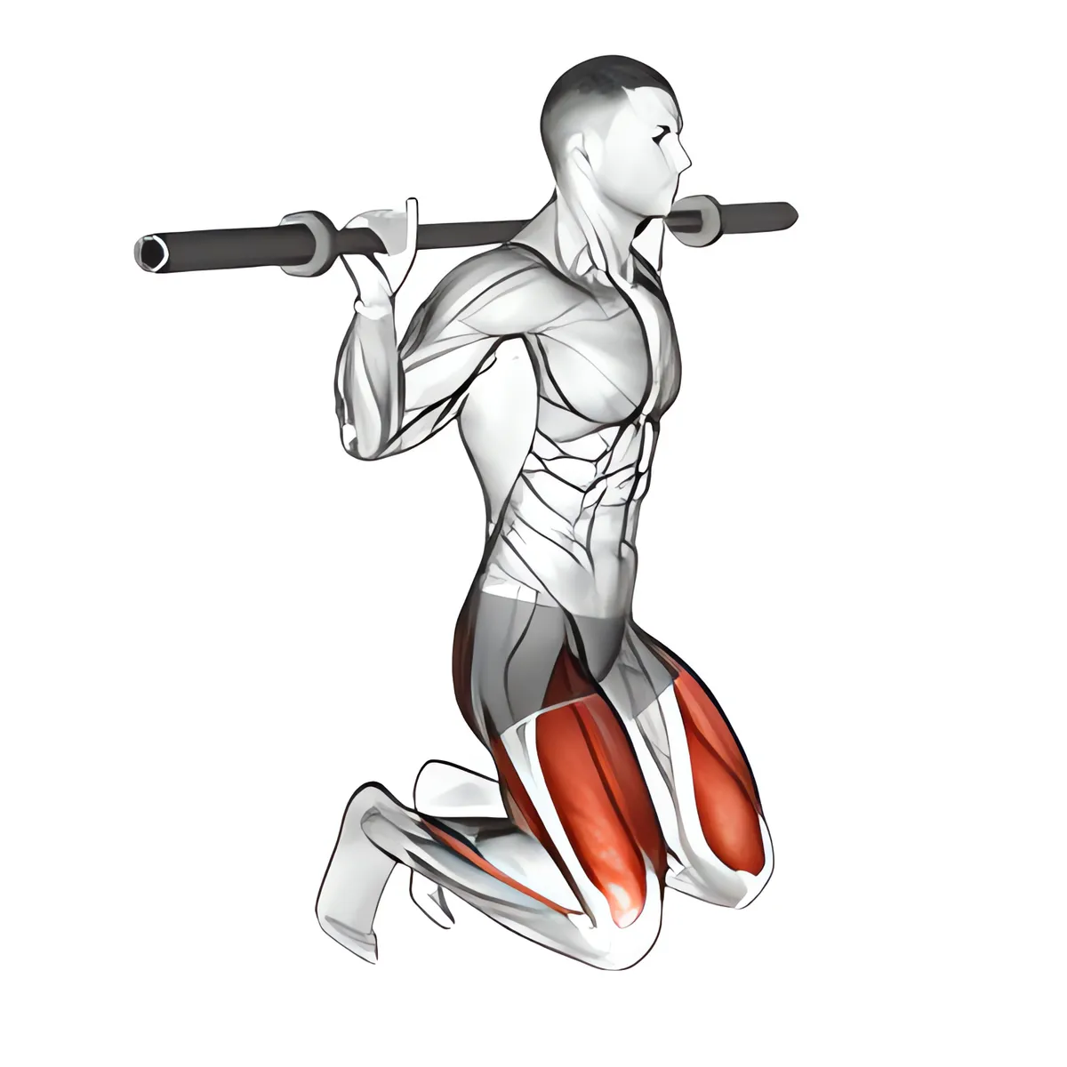 Quỳ bật nhảy squat
