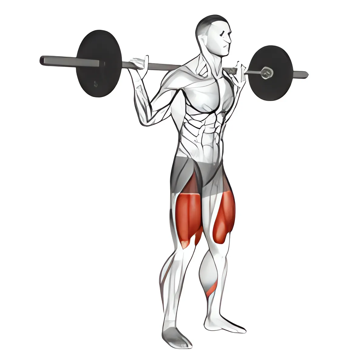 Squat tạ đòn với thanh đặt thấp