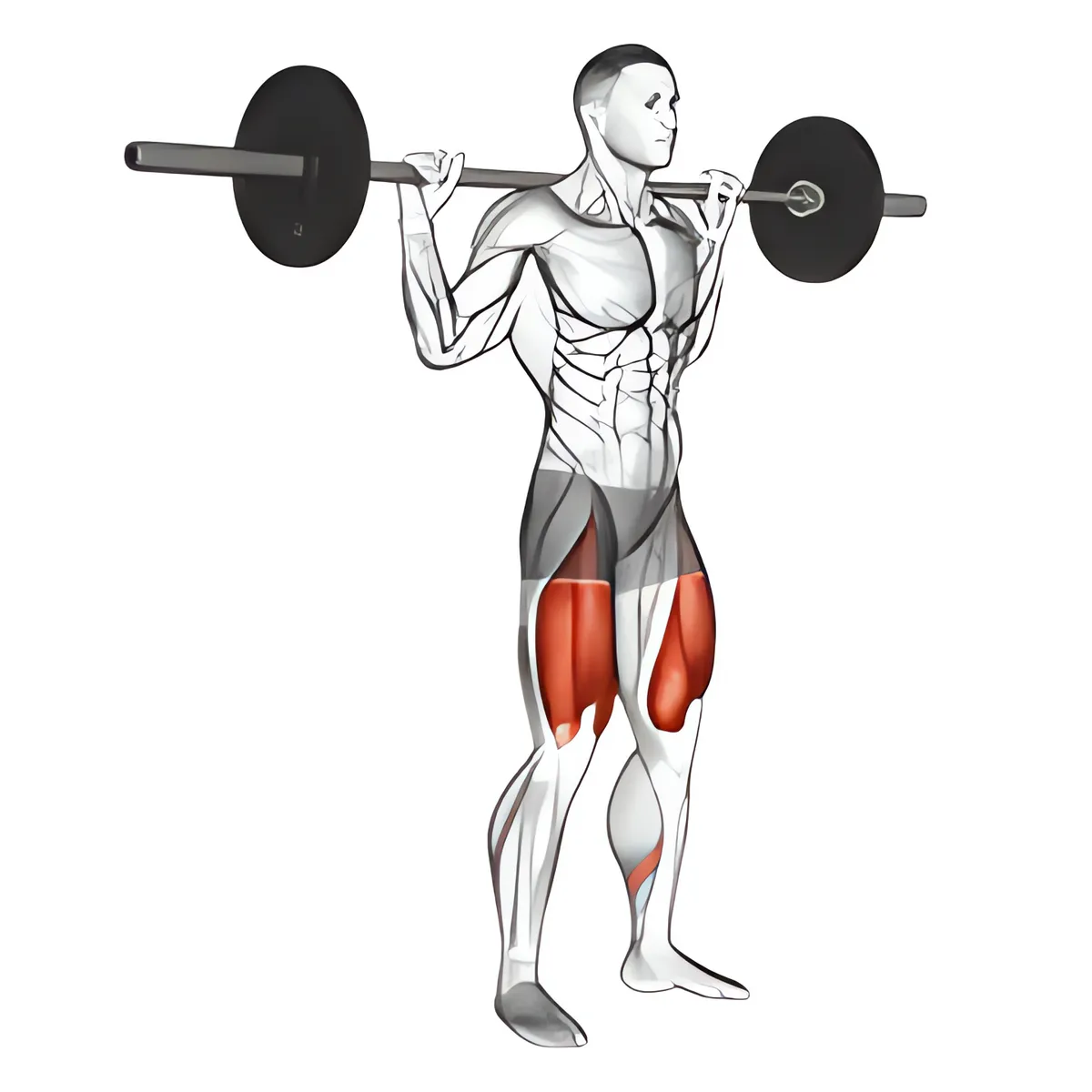 Squat tạ đòn với thanh đặt cao