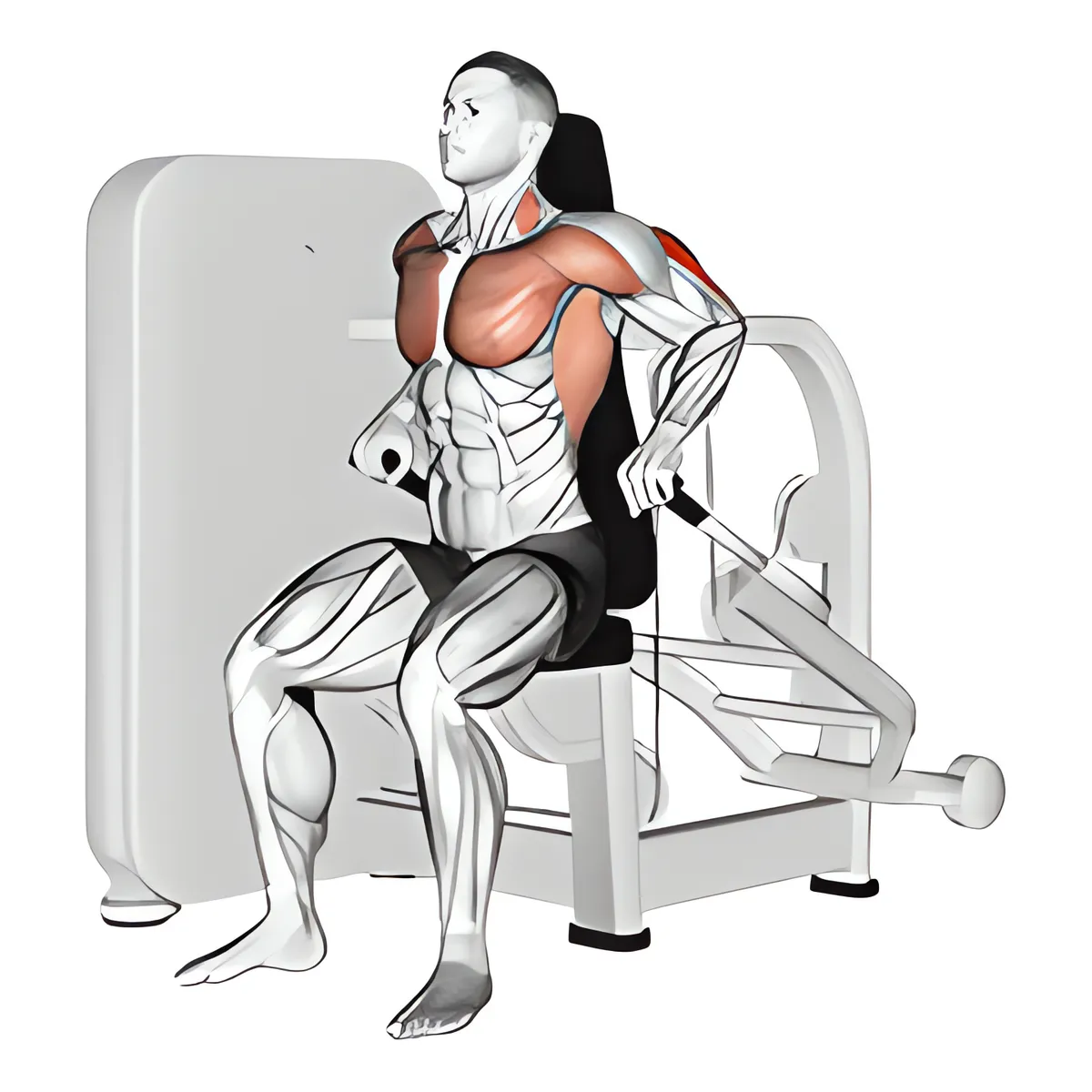 Máy ngồi nhúng người