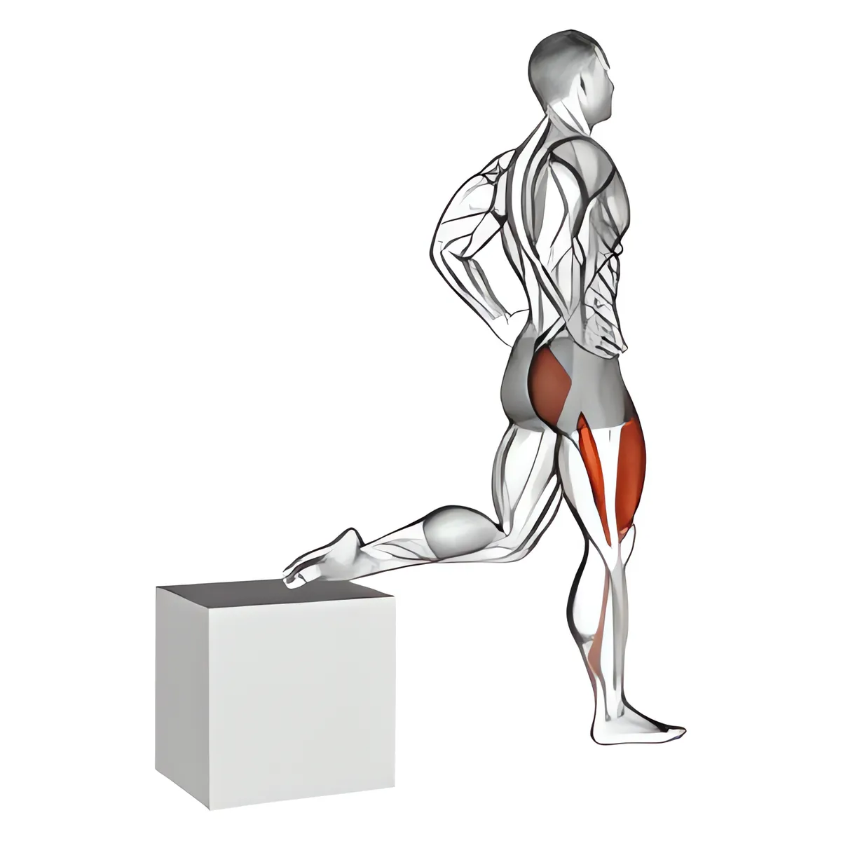 Một chân squat