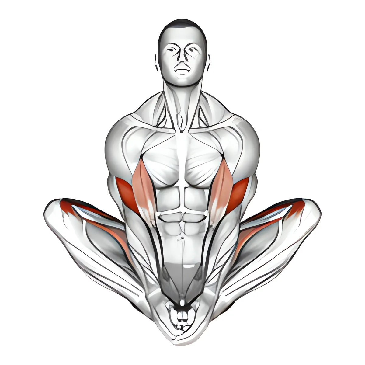 Tư thế yoga cánh bướm