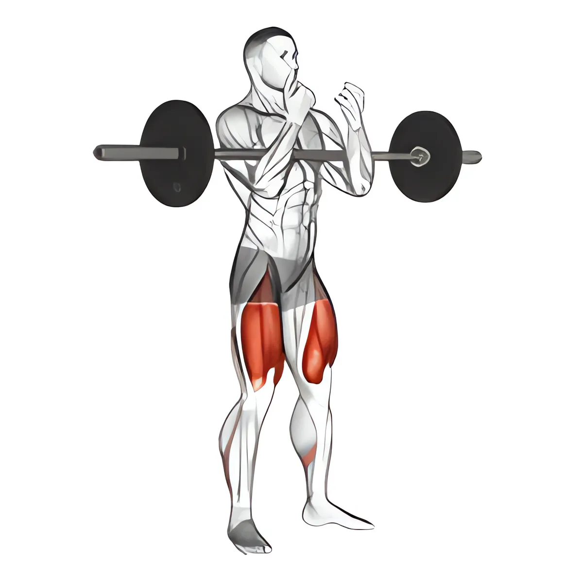 Zercher squat tạ đòn toàn biên độ