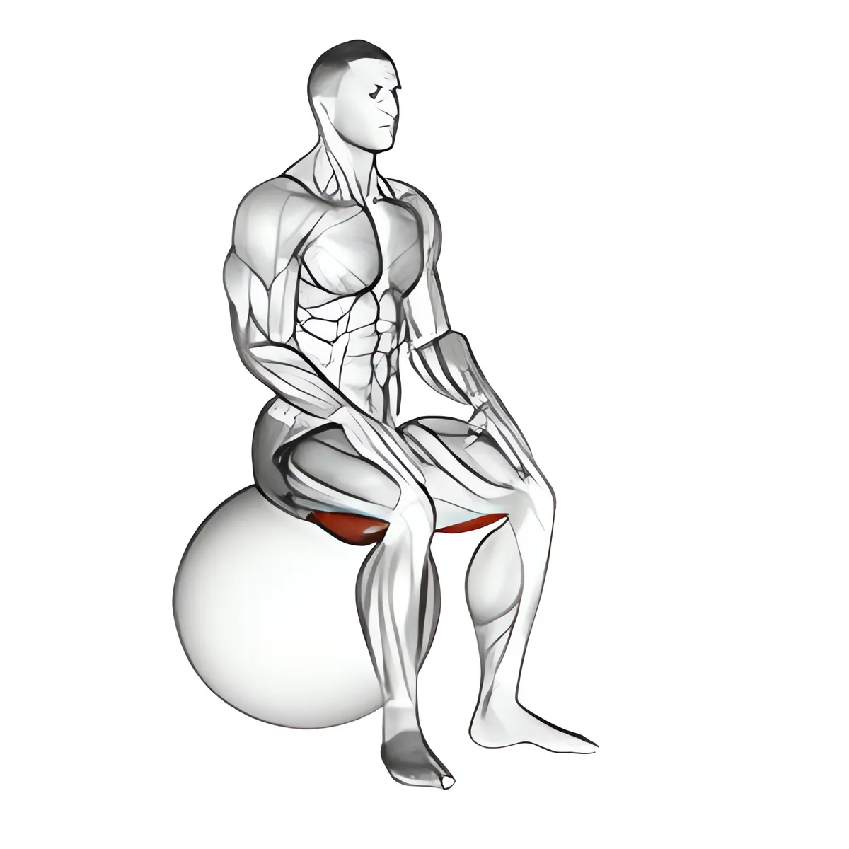 Bóng tập ngồi đùi sau kéo giãn