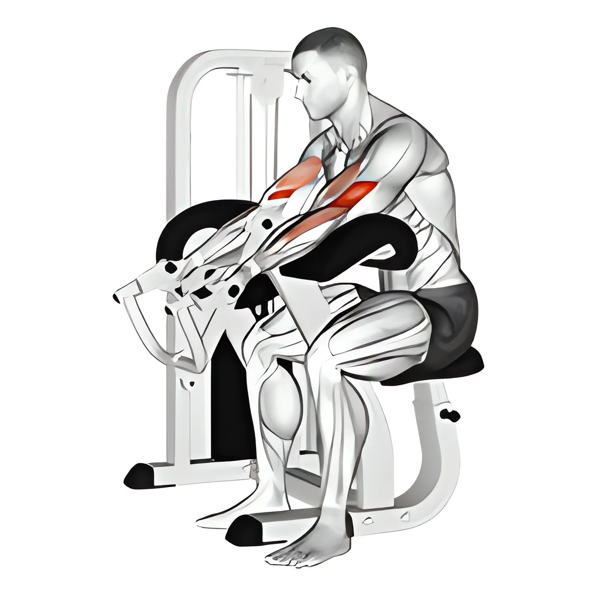 Máy cuốn tay trước ghế Scott biến thể 2