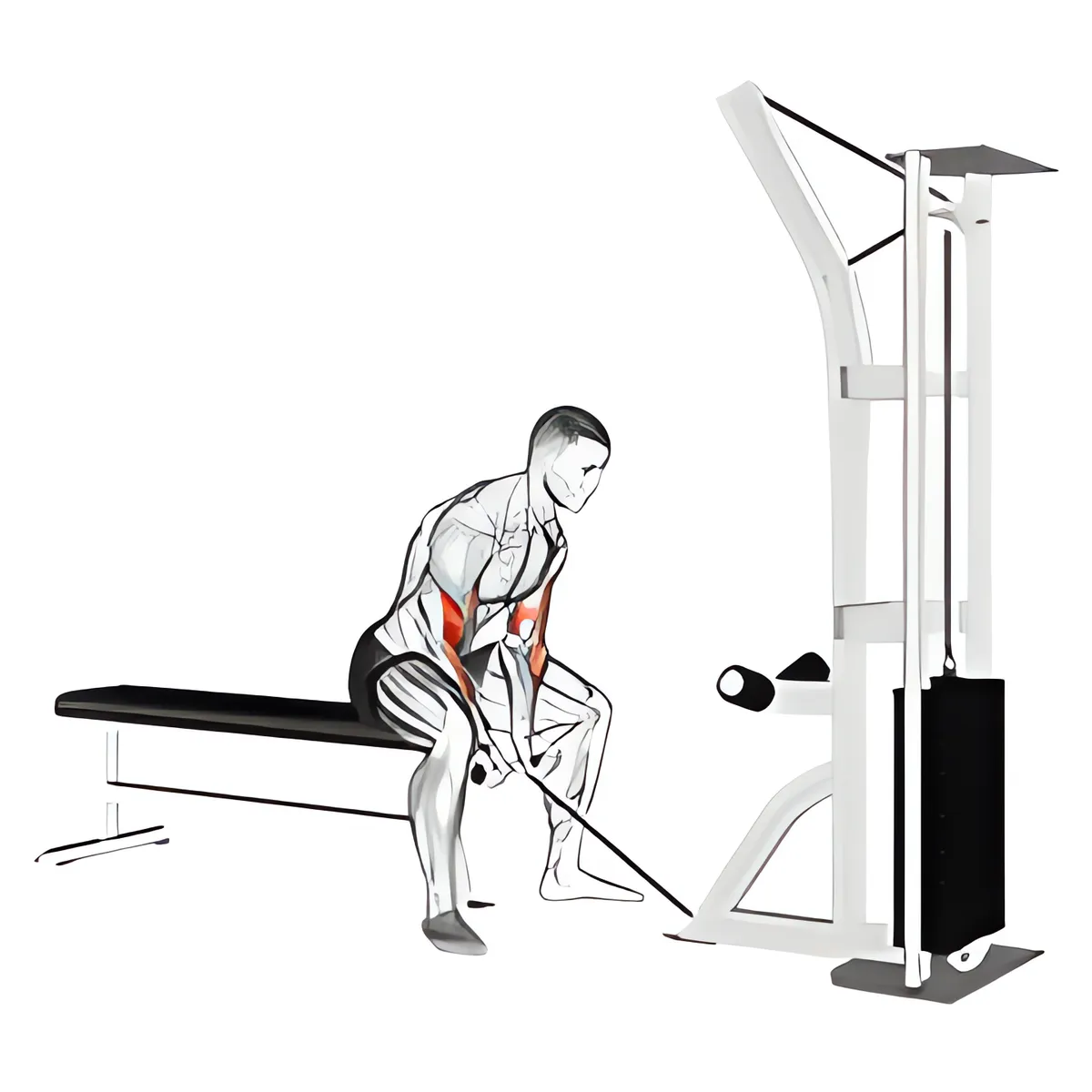 Cáp tập trung cuốn tạ
